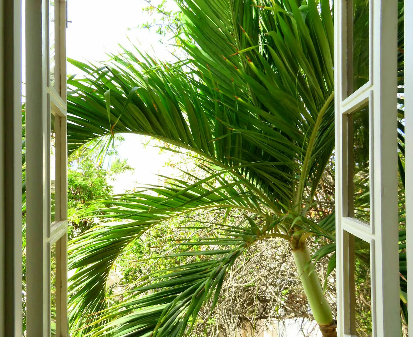 Kas Kibrahacha Villa Bonaire